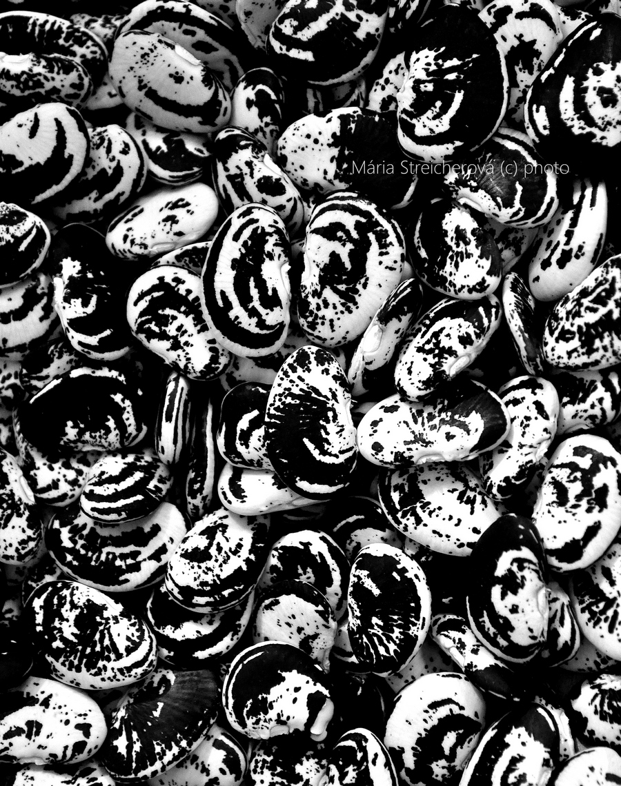 Čiernobiely záber vylúpaných vzorovaných fazuľových zŕn.